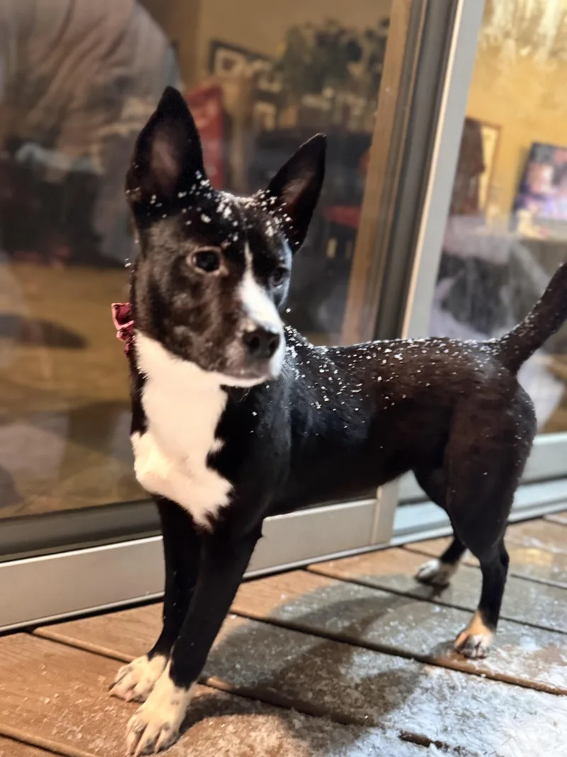 Minnie!! thumbnail 3