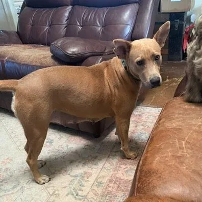 Julia Child thumbnail 2