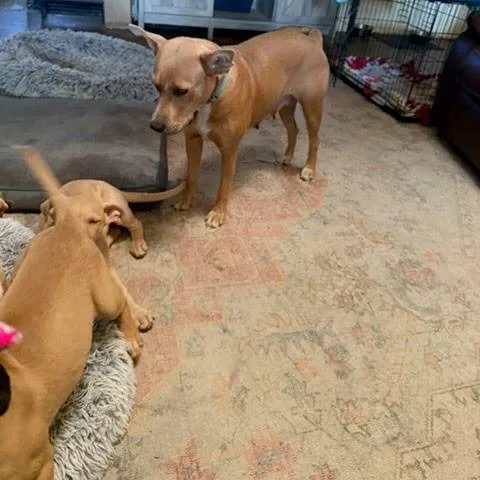 Julia Child thumbnail 3