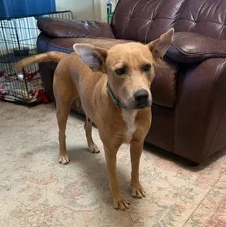 Julia Child thumbnail 4