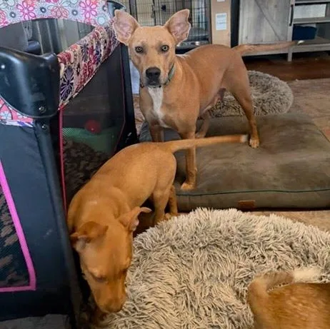 Julia Child thumbnail 5