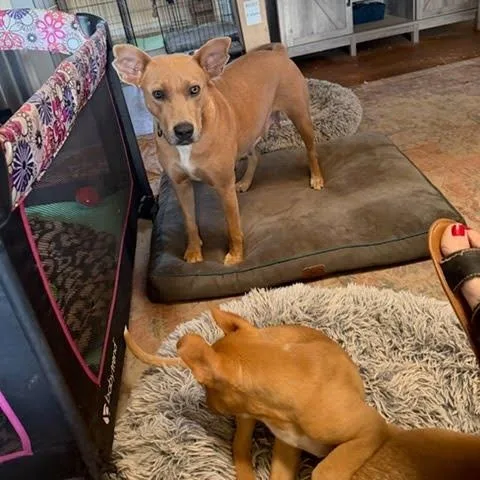 Julia Child thumbnail 6