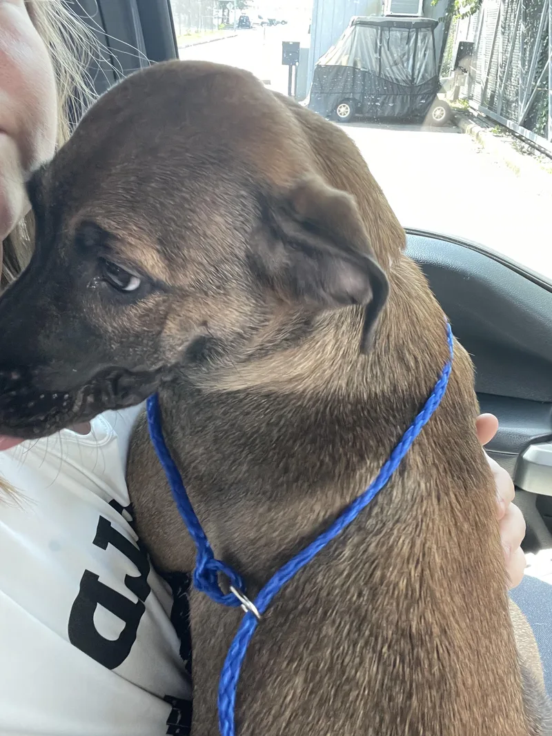 Xena Precious Princess thumbnail 2