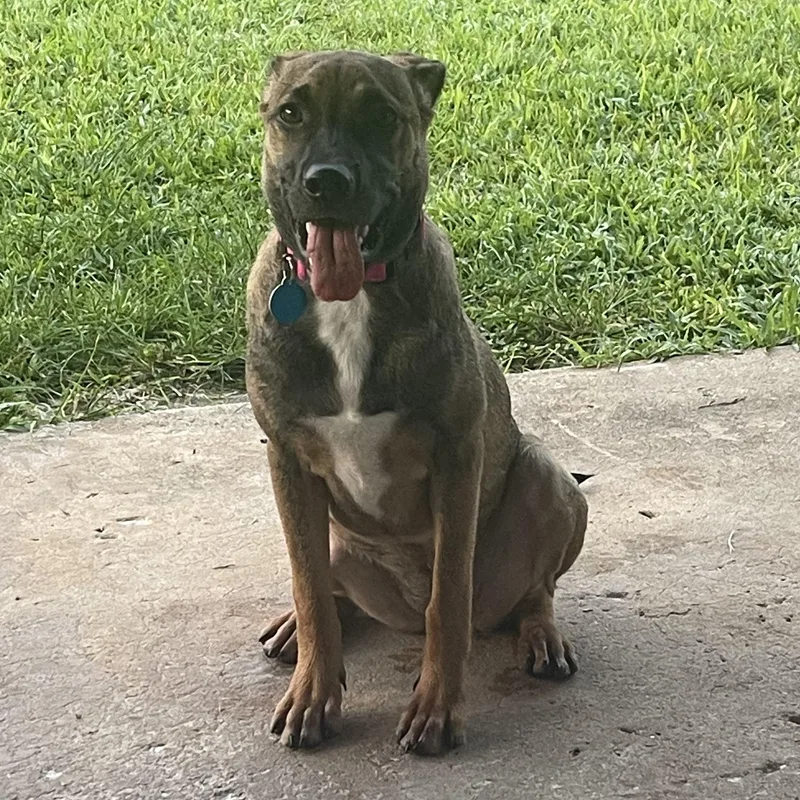 Xena Precious Princess