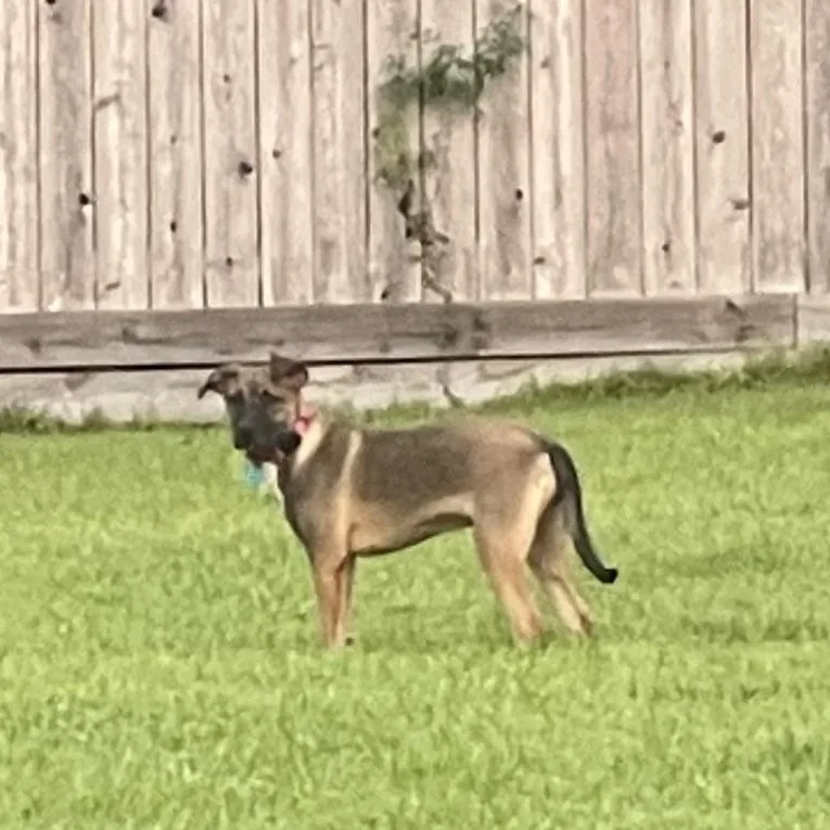 Xena Precious Princess thumbnail 3