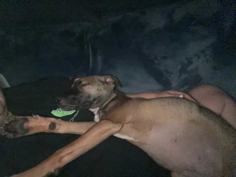 Xena Precious Princess thumbnail 4