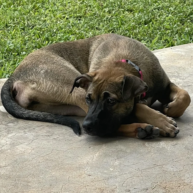 Xena Precious Princess thumbnail 6