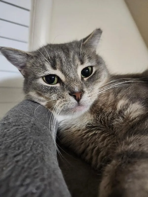 Mary Lou thumbnail 3