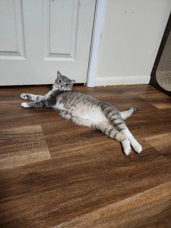 Mary Lou thumbnail 4