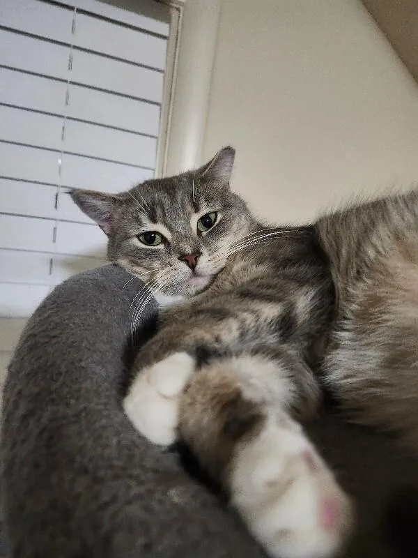 Mary Lou thumbnail 5