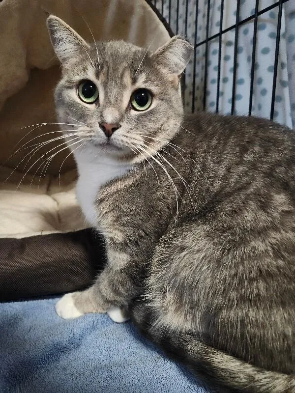 Mary Lou thumbnail 6