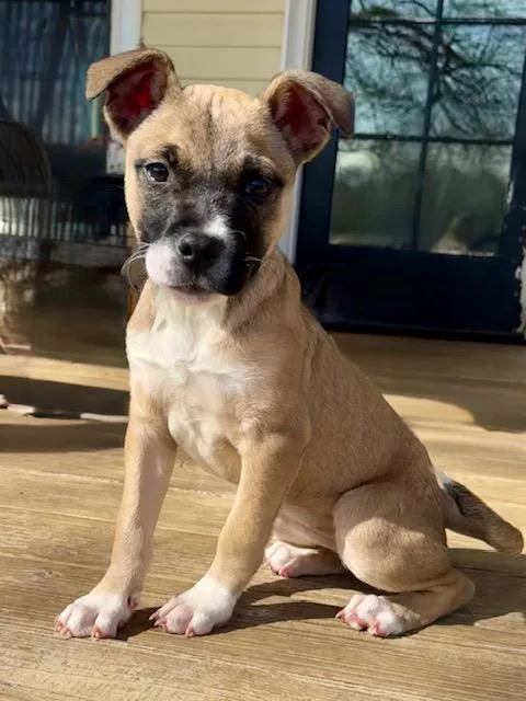 Charlotte thumbnail 2