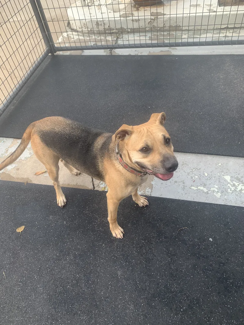 Little man thumbnail 3