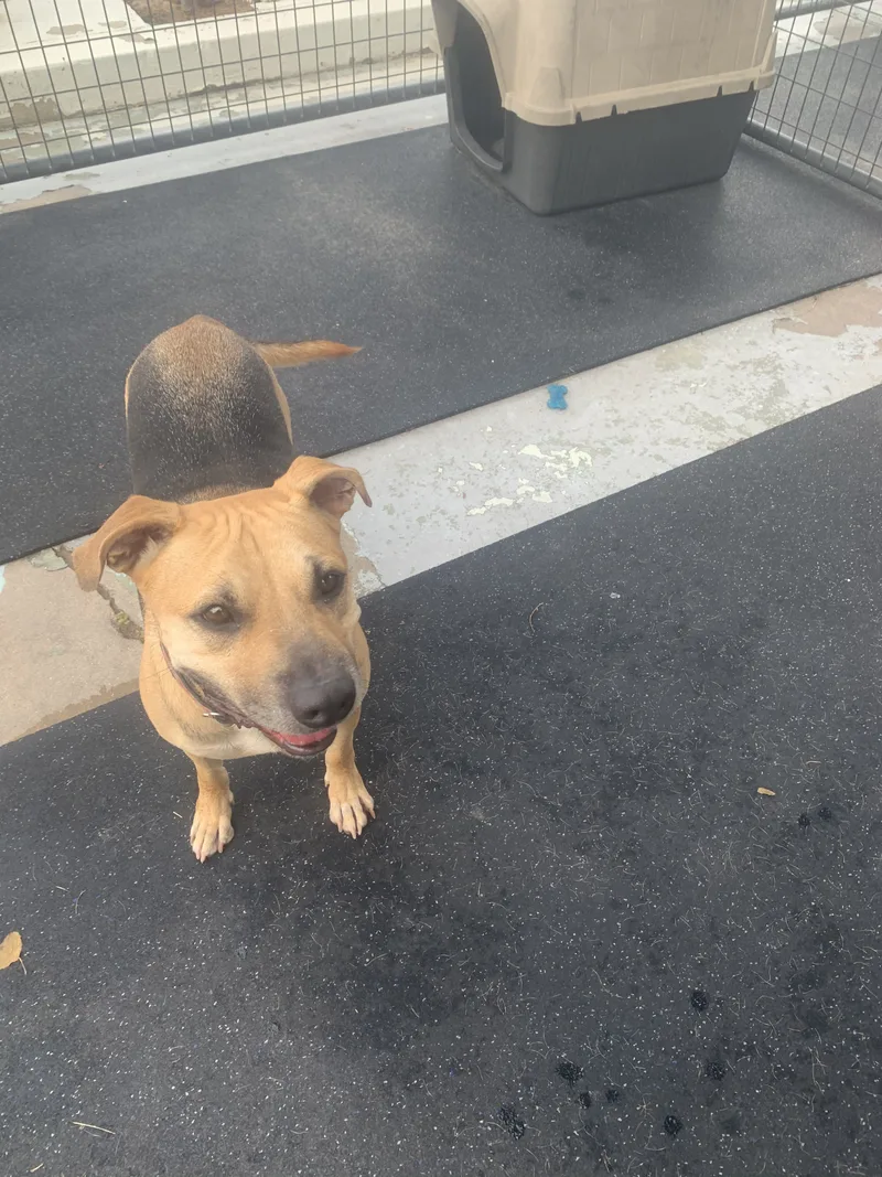 Little man thumbnail 2