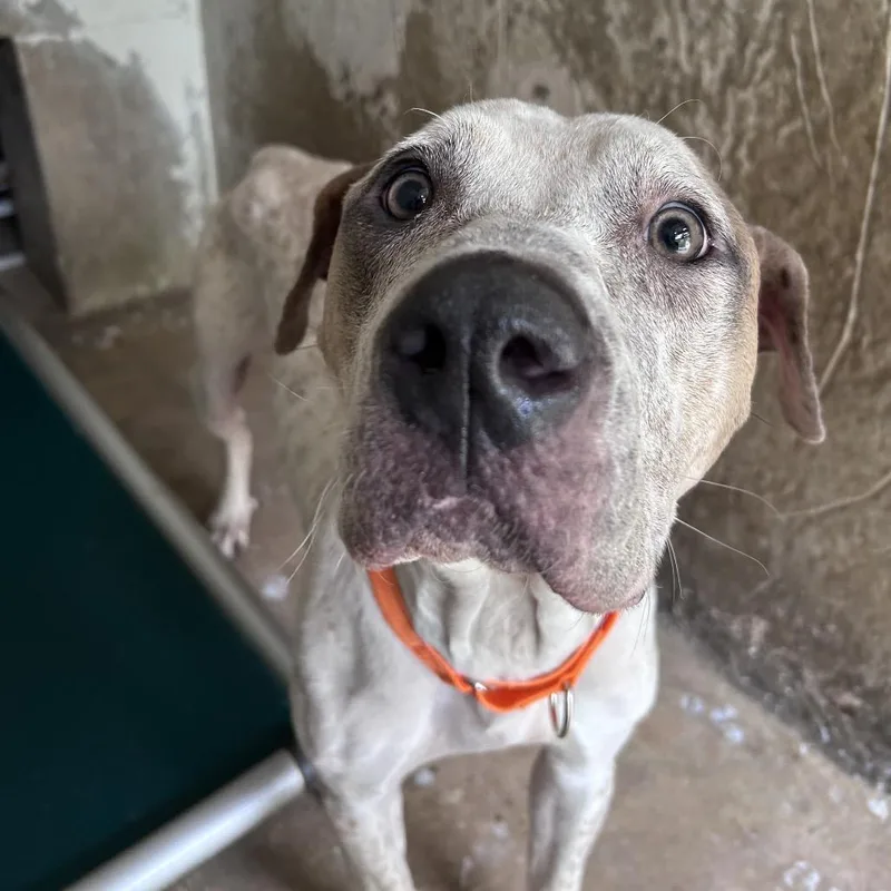 Fruit Snacks thumbnail 2