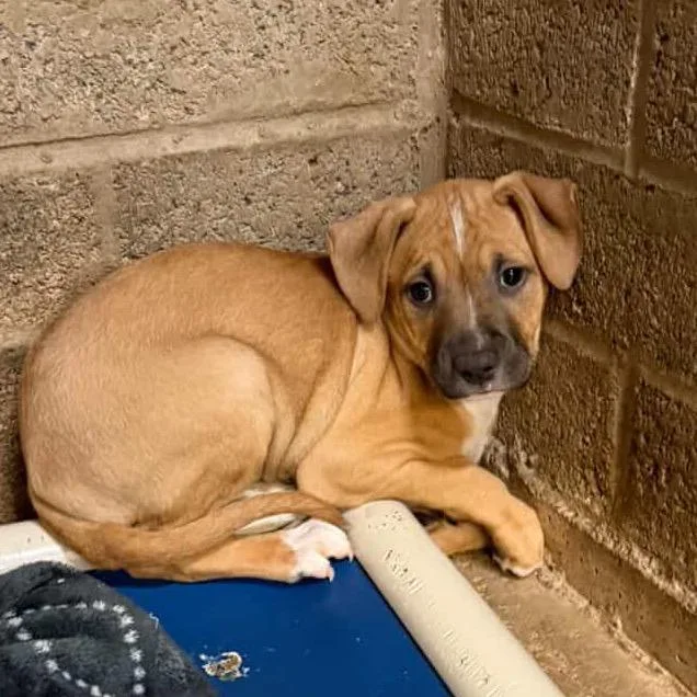 Artemis "ari" thumbnail 2