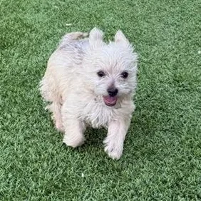 Franklin thumbnail 2