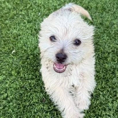 Franklin thumbnail 4