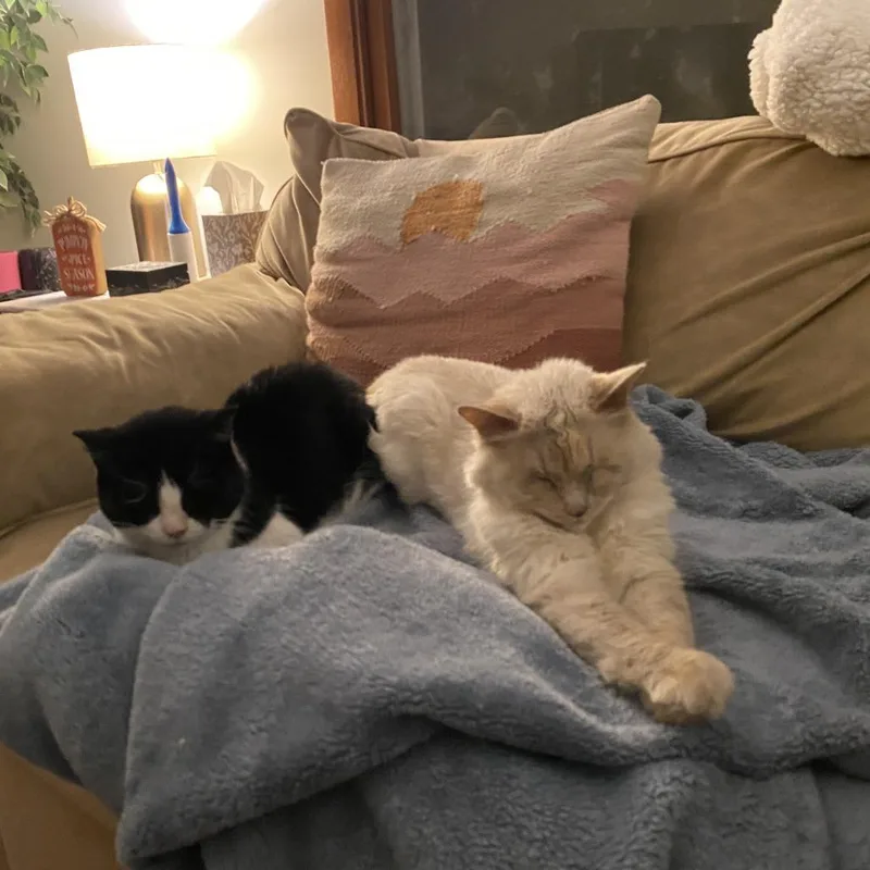 Freya  Home To thumbnail 2