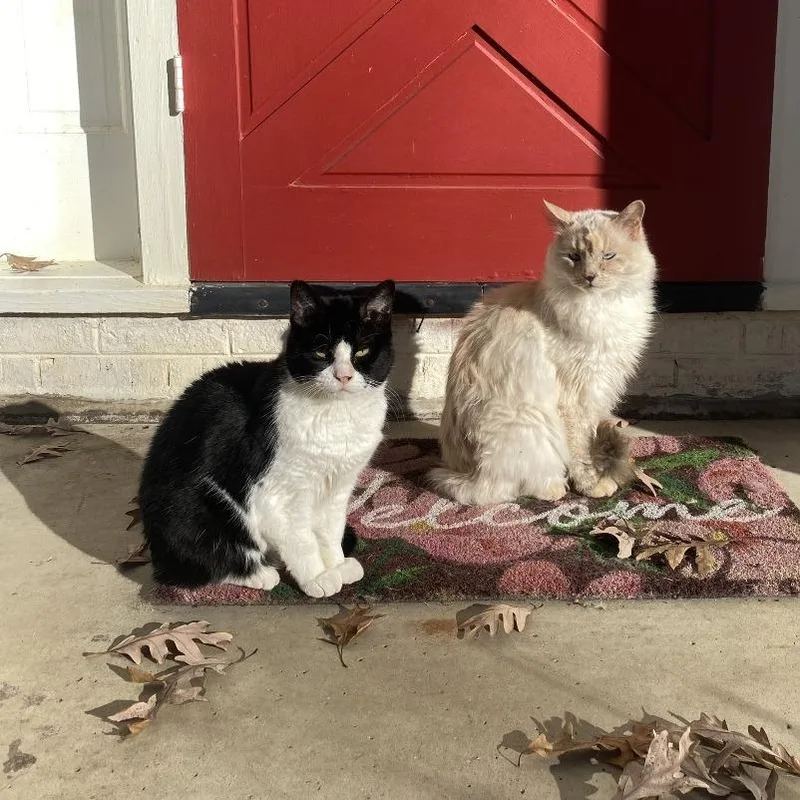 Freya  Home To thumbnail 3