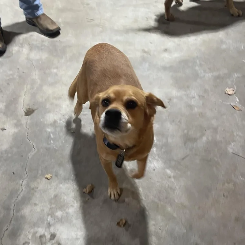 Nashville thumbnail 2