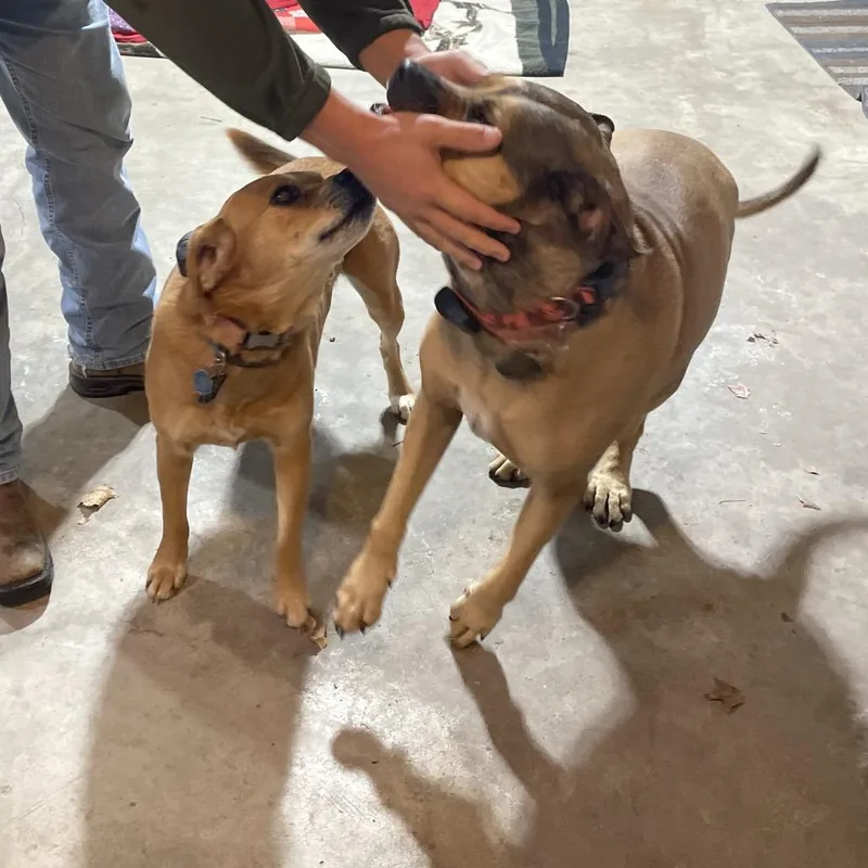 Nashville thumbnail 3