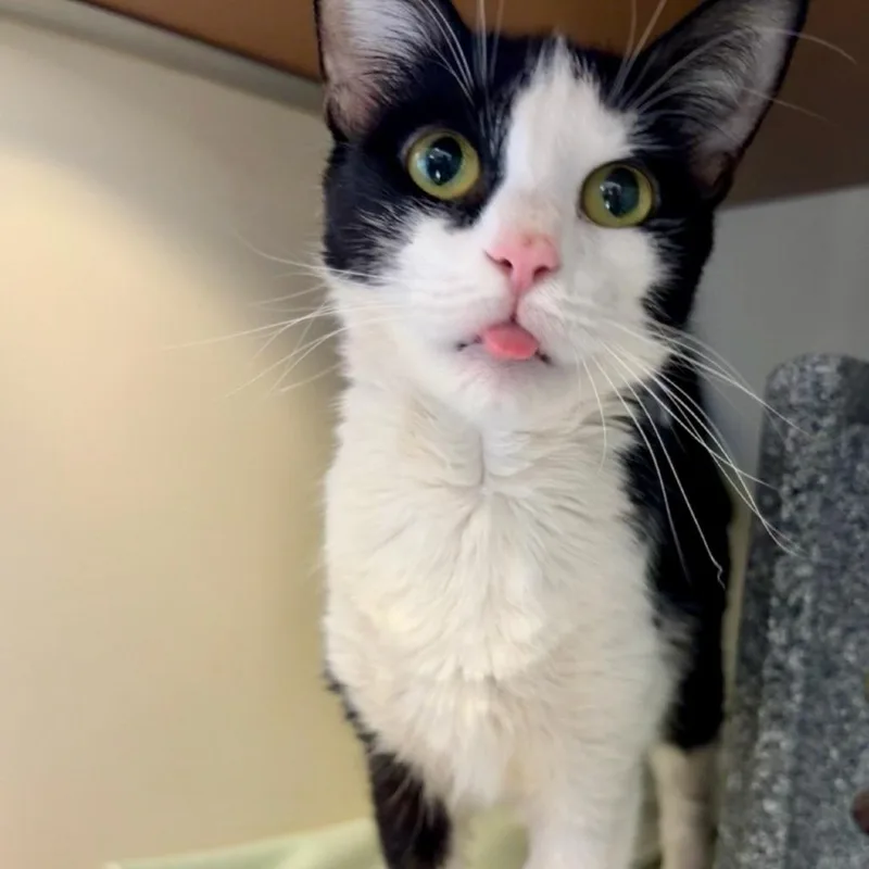 Lagertha thumbnail 3