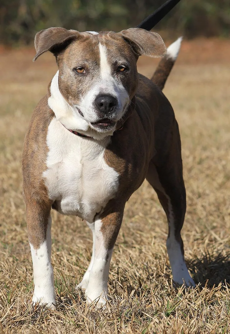 Wednesday thumbnail 3