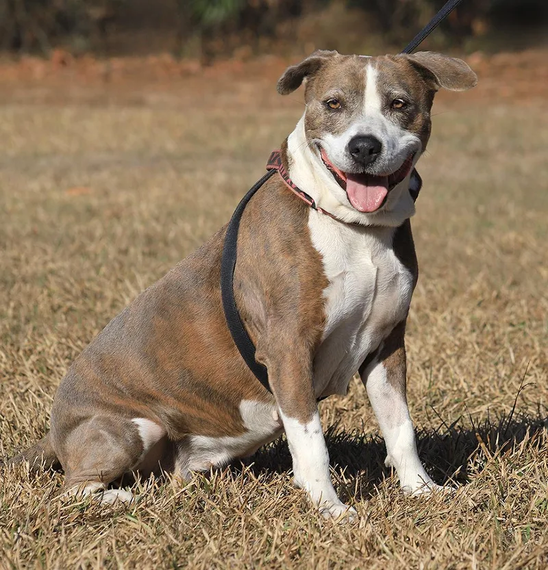 Wednesday thumbnail 5