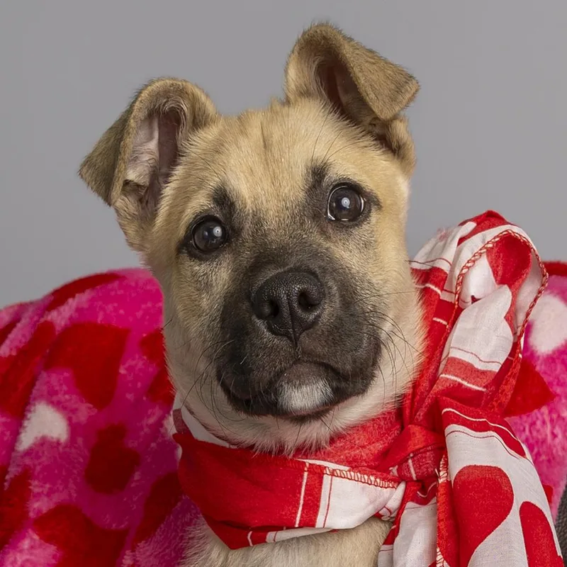 Buzz Lightyear thumbnail 2