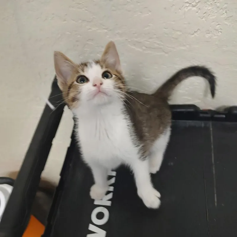 Minnesota thumbnail 2