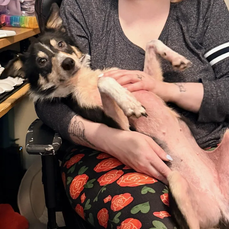 Peggy Sue thumbnail 2