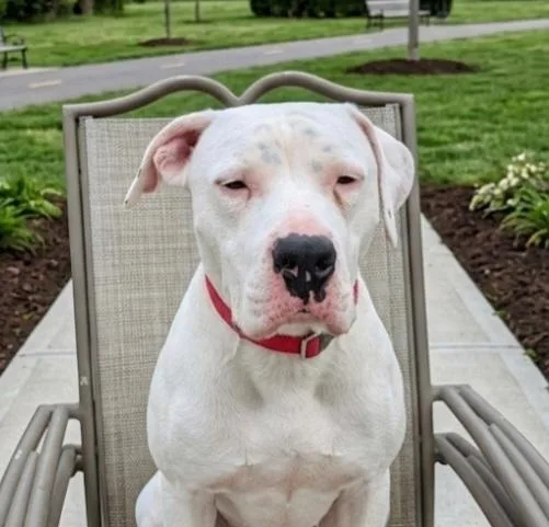 Luke Floyd thumbnail 2