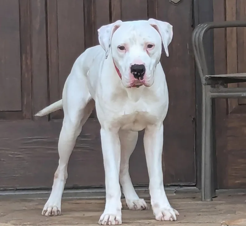 Luke Floyd thumbnail 3