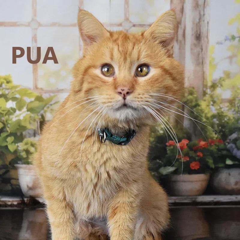 Rochester thumbnail 2