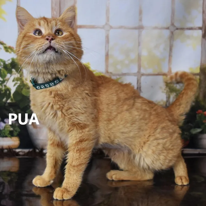 Rochester thumbnail 3