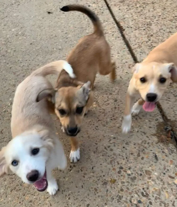 Kathy Lyn thumbnail 2