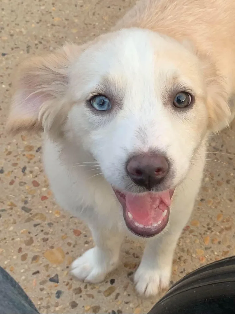 Kathy Lyn thumbnail 3