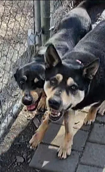 Susie And June Bug thumbnail 6