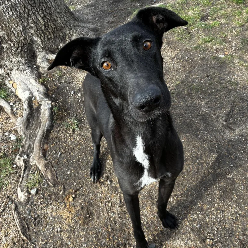 Mama Rain thumbnail 2