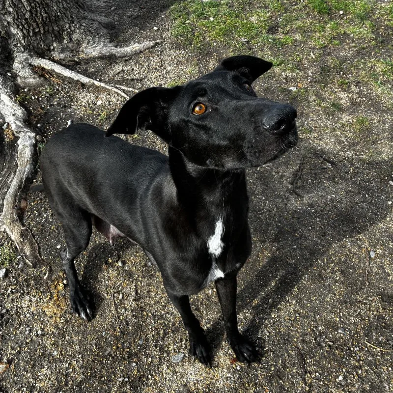 Mama Rain thumbnail 3