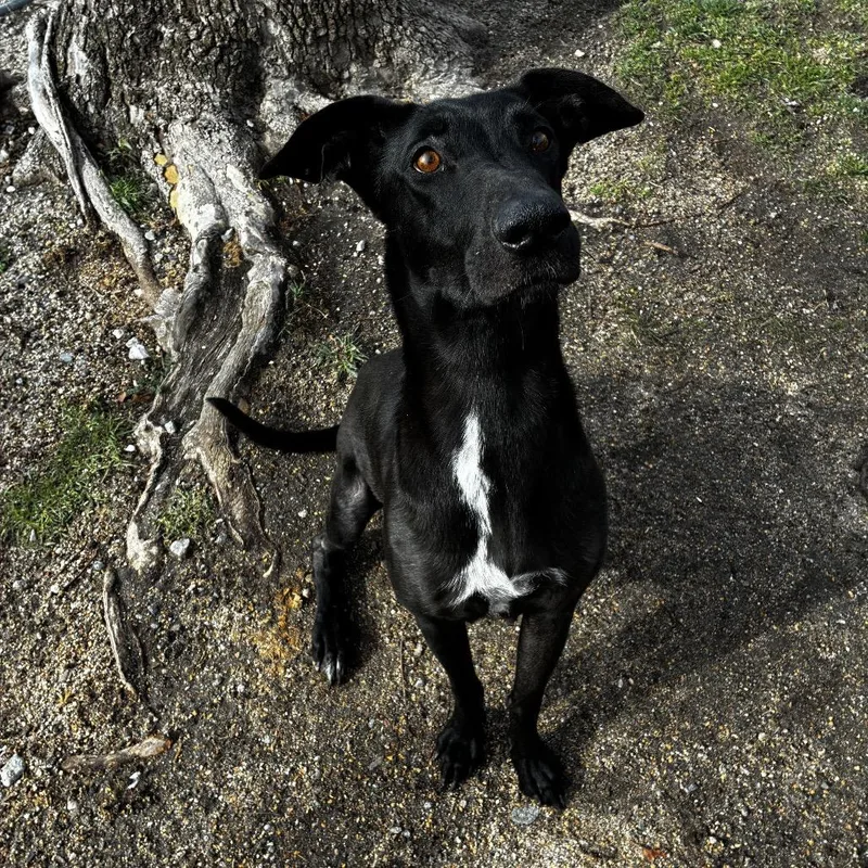 Mama Rain thumbnail 5