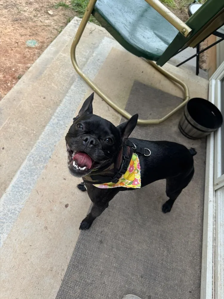 Sammy Soto  Sc thumbnail 2