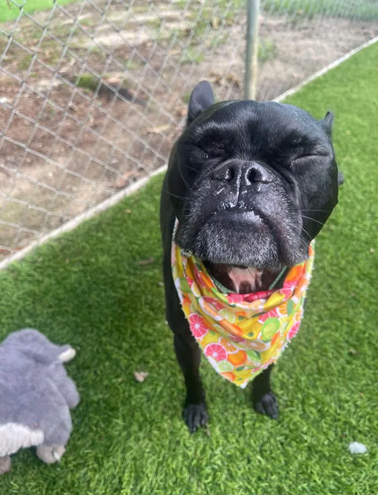 Sammy Soto  Sc thumbnail 3