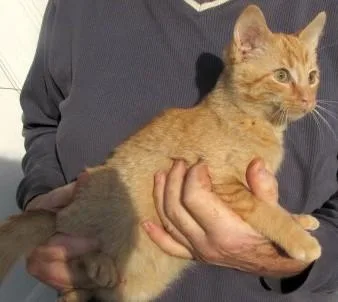 Oliver & Rusty  thumbnail 2