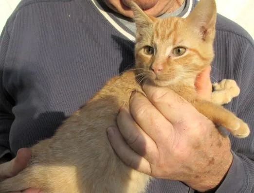 Oliver & Rusty  thumbnail 3