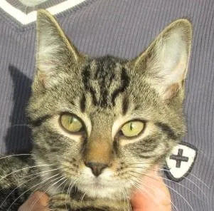 Oliver & Rusty  thumbnail 4