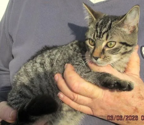 Oliver & Rusty  thumbnail 6