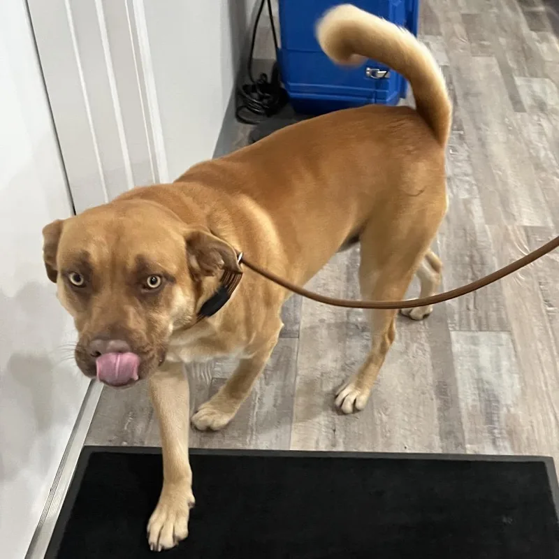 Teddy Roosevelt thumbnail 2