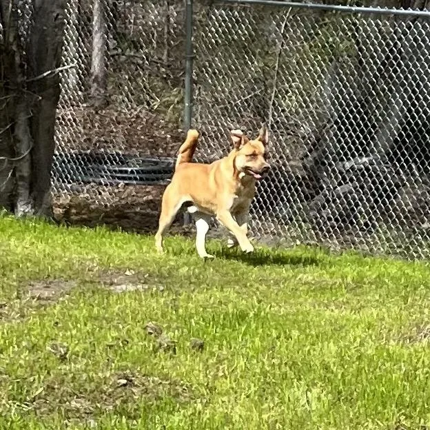 Teddy Roosevelt thumbnail 3